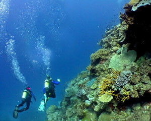 a_l_scuba_20diving